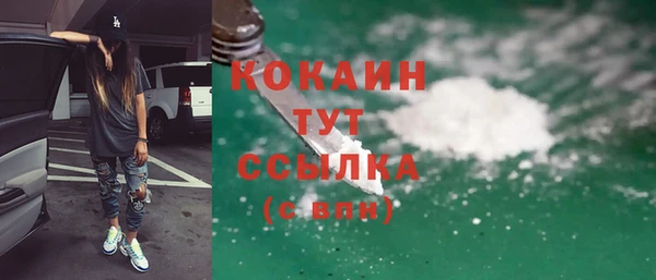 соль ск Алексин