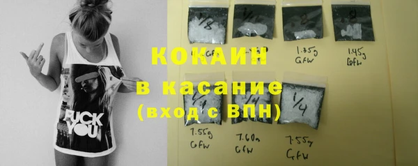 соль ск Алексин