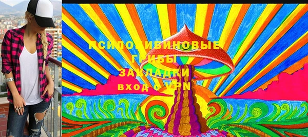 соль ск Алексин