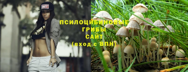 соль ск Алексин