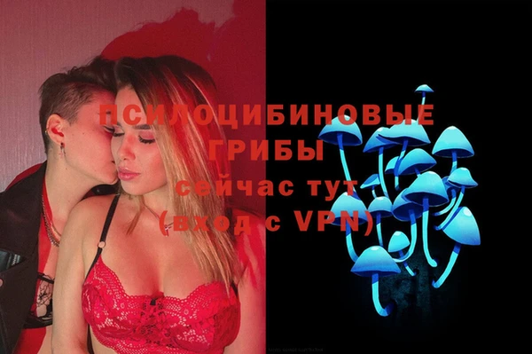 соль ск Алексин