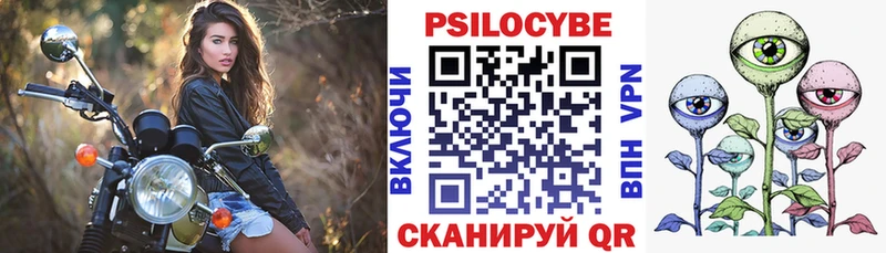 Купить закладки  Елабуга  Галлюциногенные грибы Psilocybine cubensis 